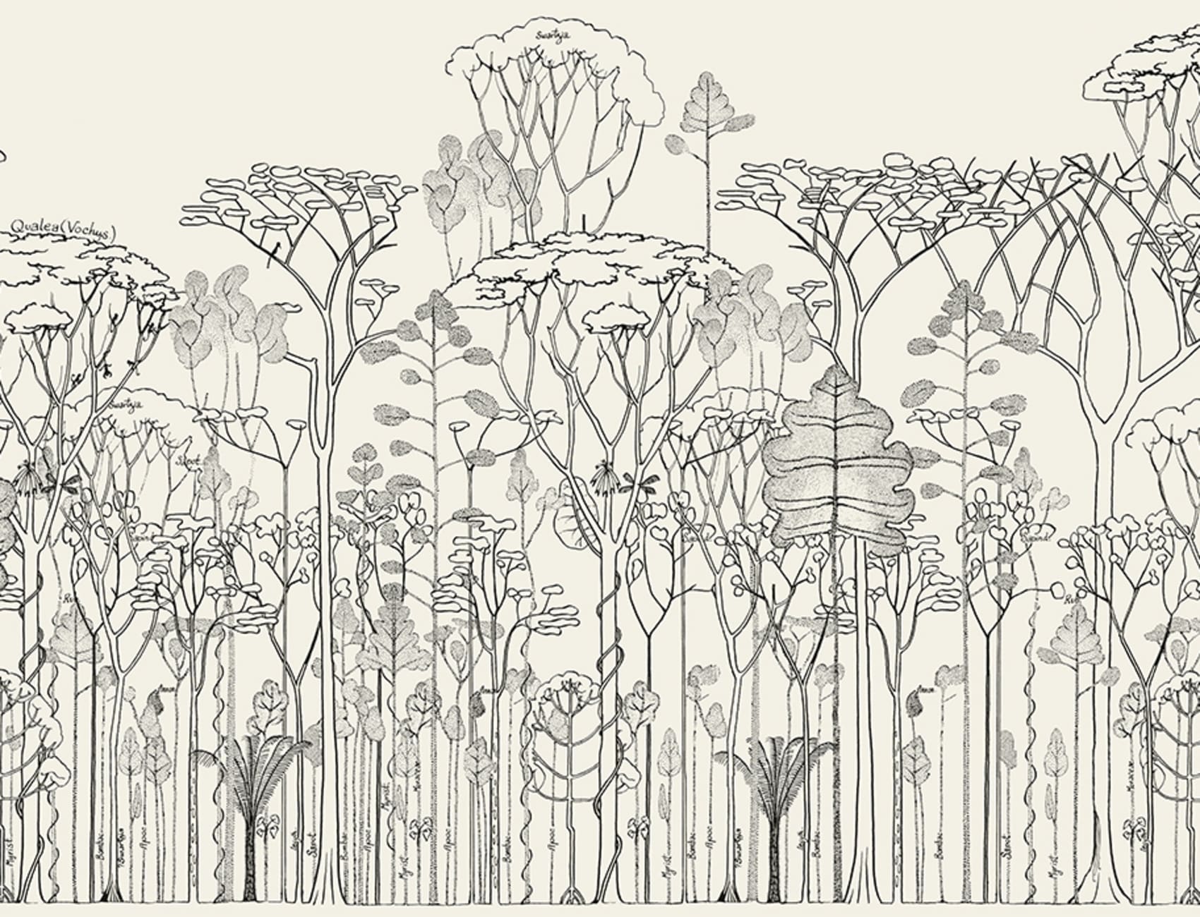 Monochrome Forest