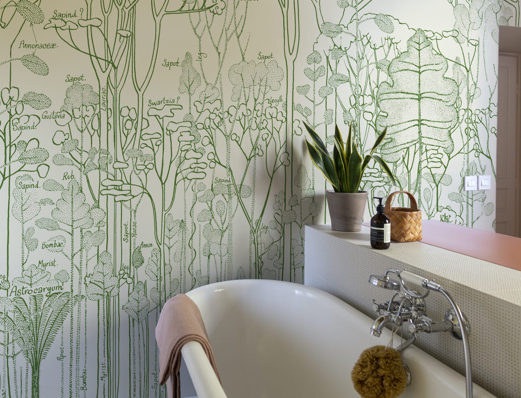 Verde Canopy