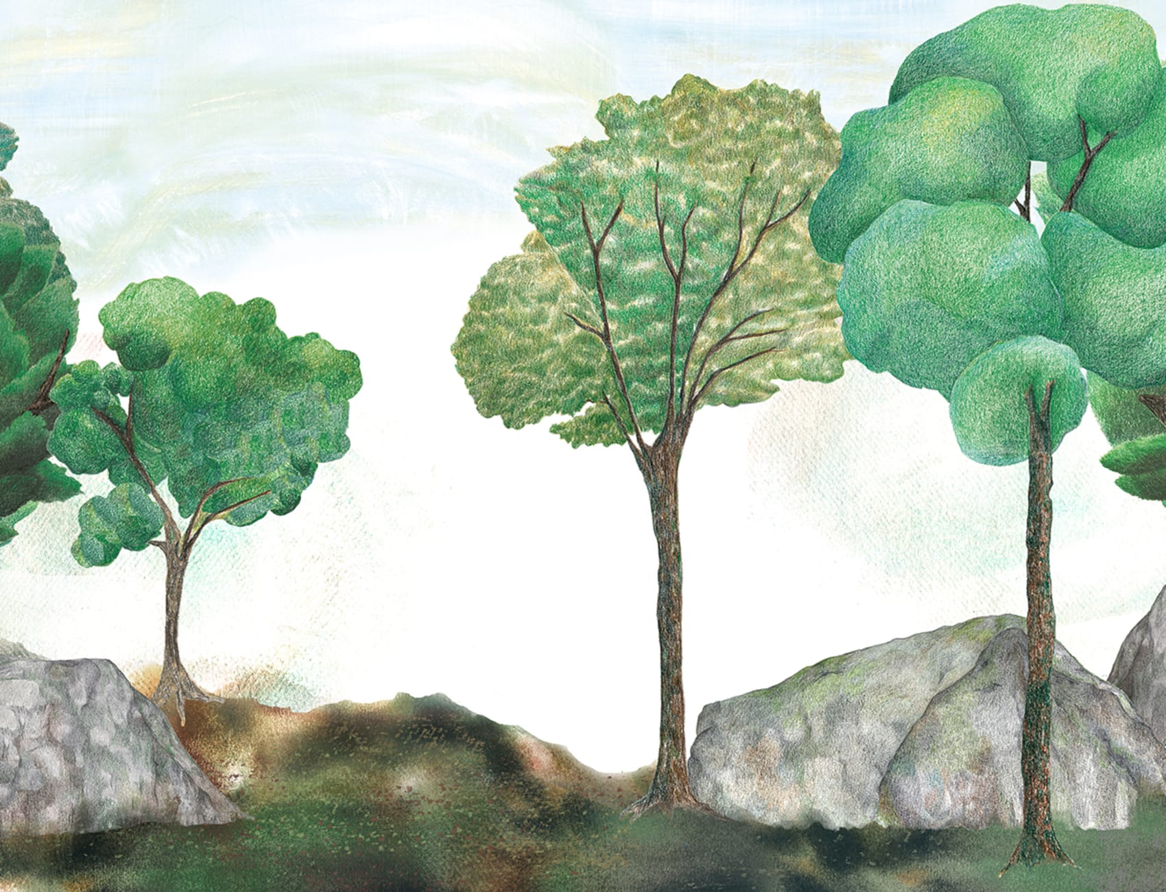 Tranquilla Canopy