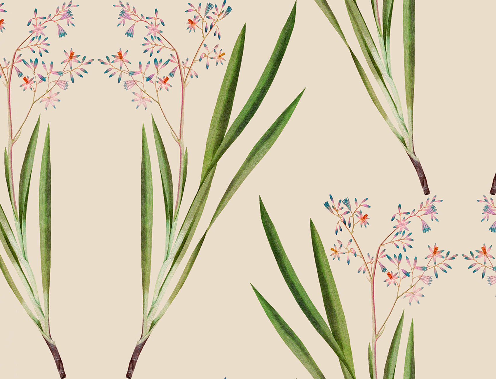 Fioriture aggraziate