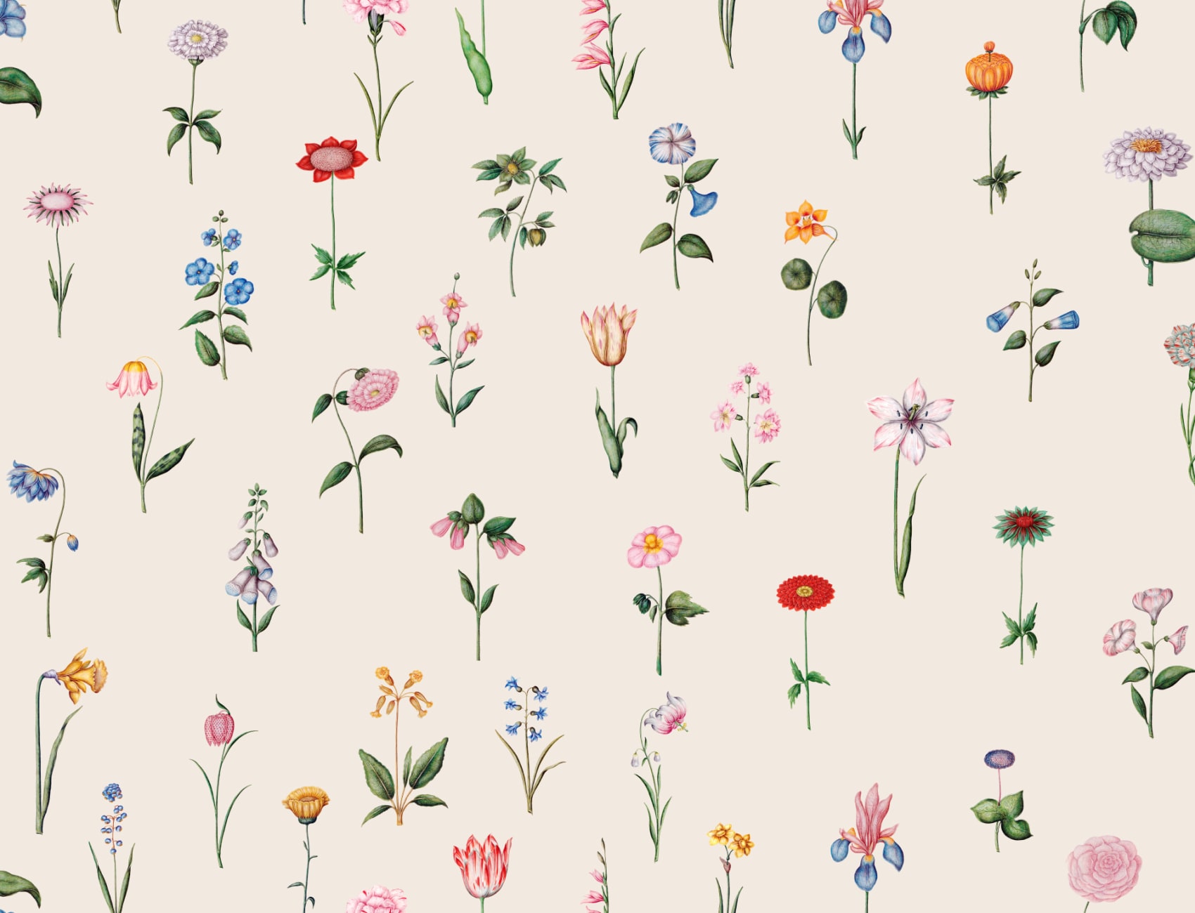 Eleganza in Fiore