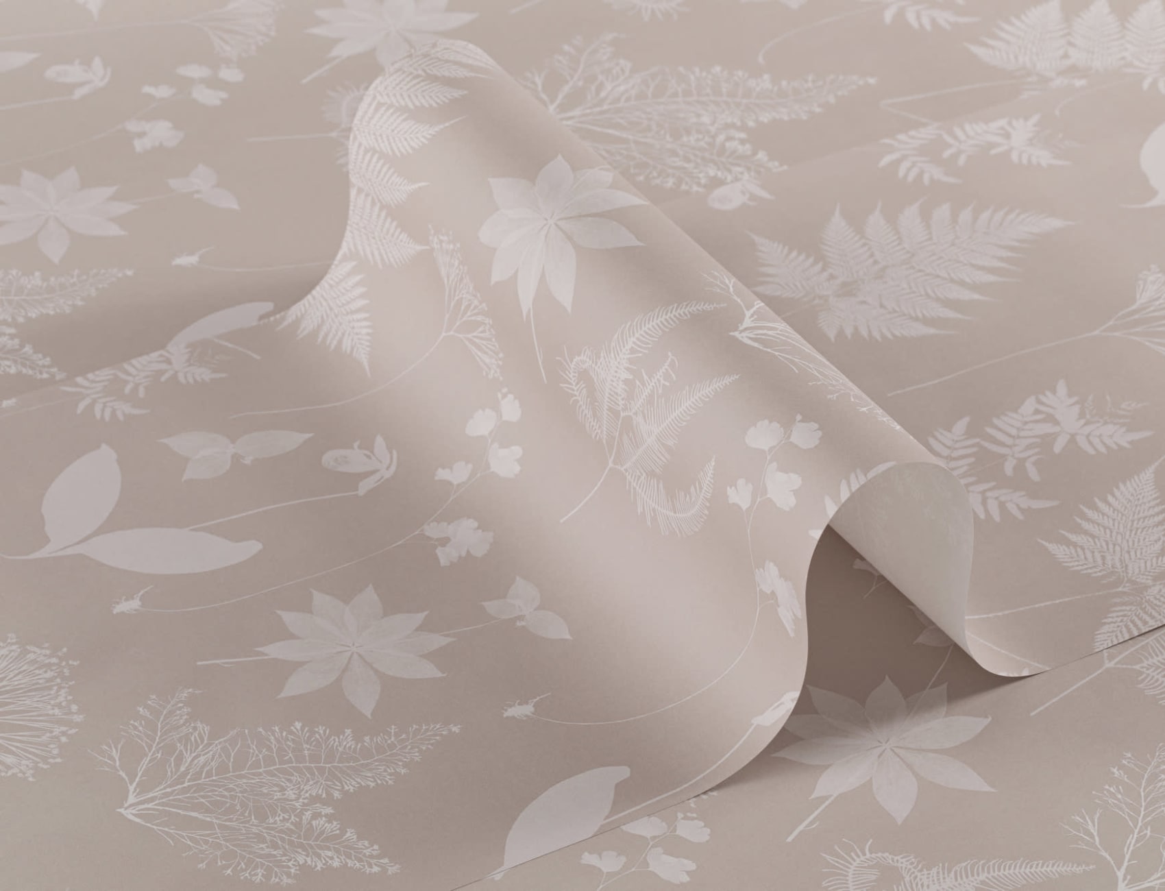 Pink Botanical Plant Wallpaper