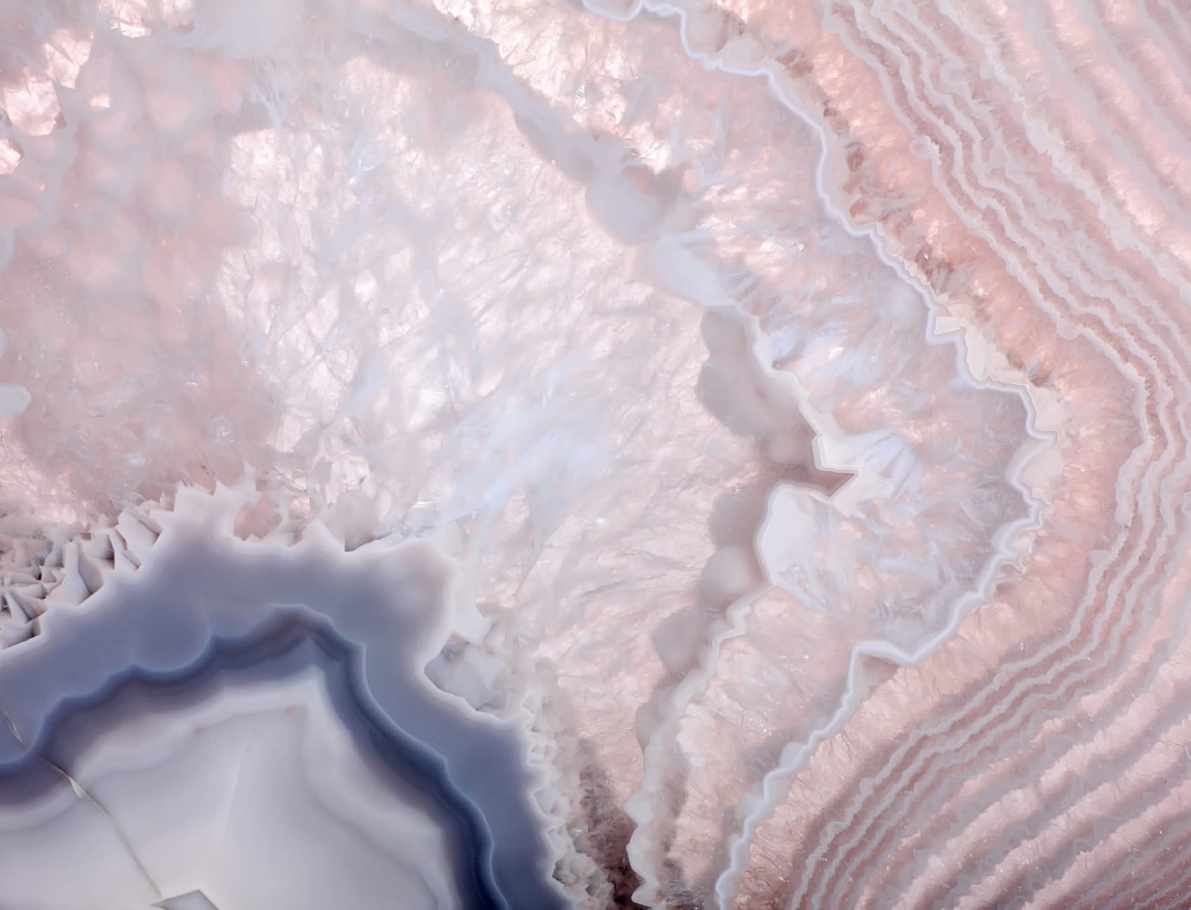Rose Quartz Wallpaper Mural