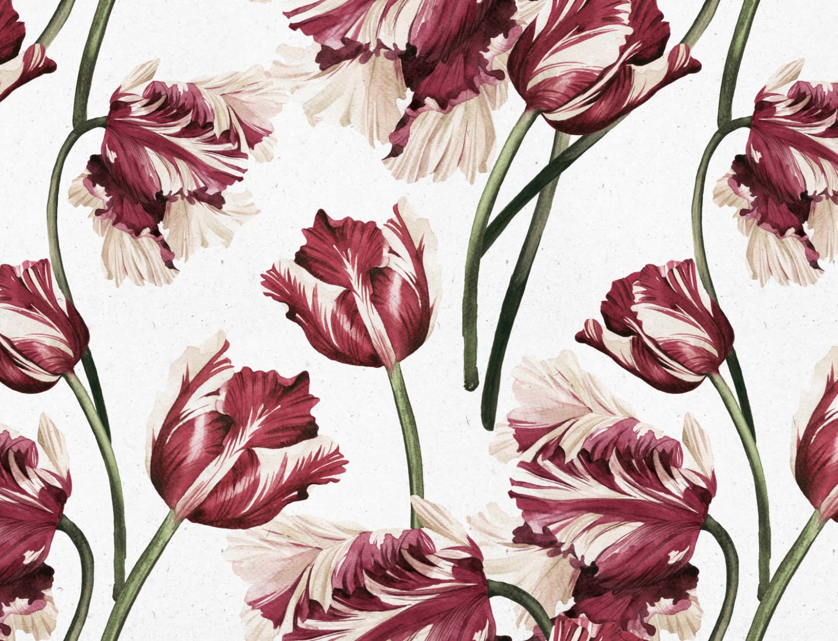 Red Tulip Wallpaper Mural