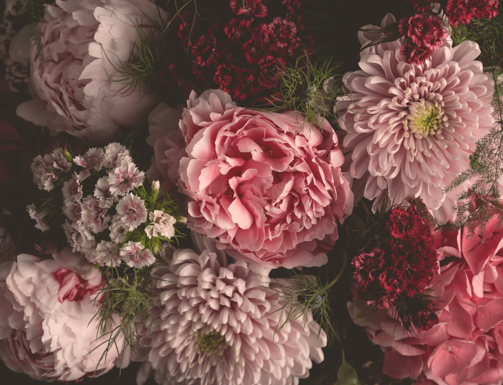 Pink Photographic Oversized Dark Moody Floral Wallpaper Mural