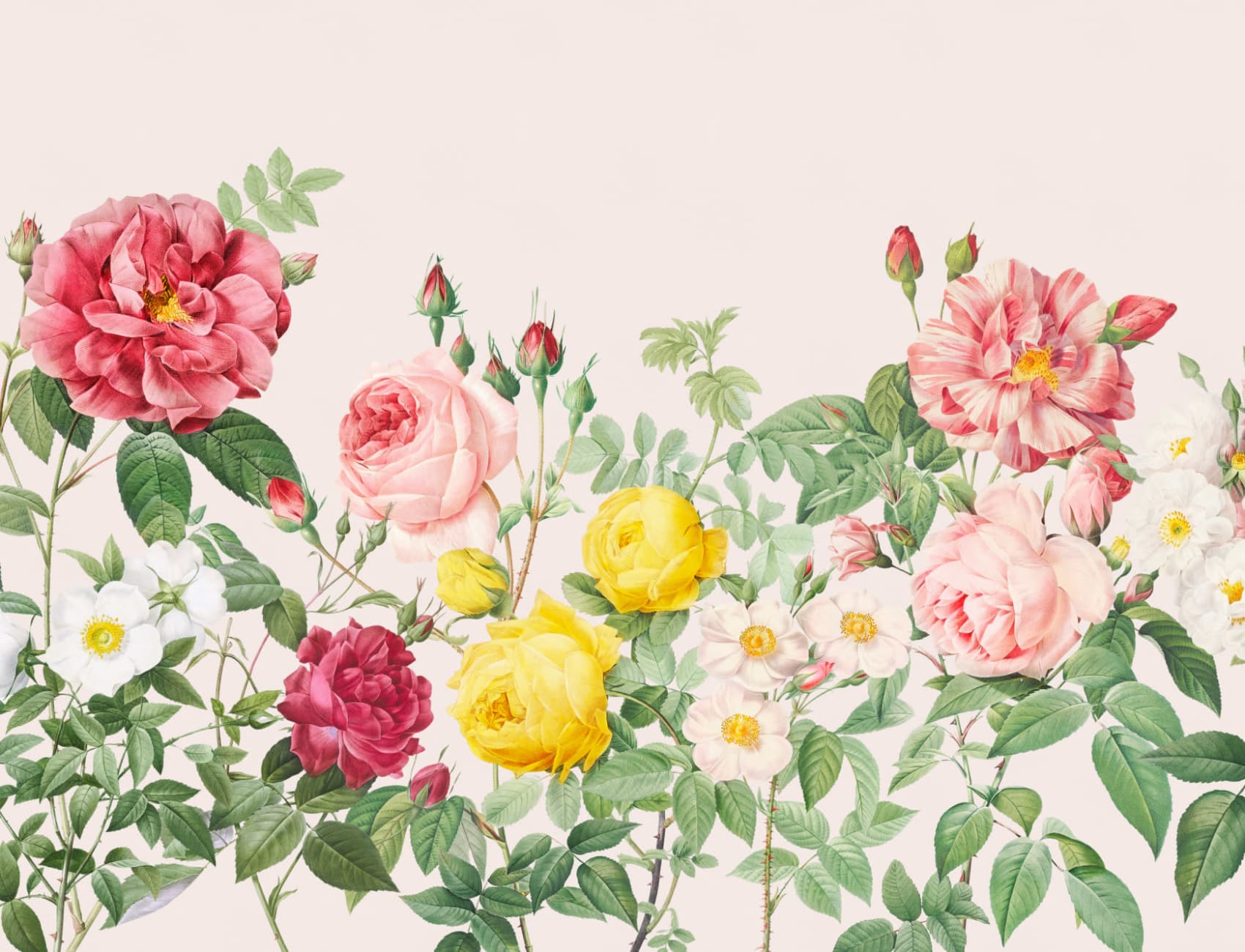 Carta da Parati Fiori di Primavera Effetto Vintage