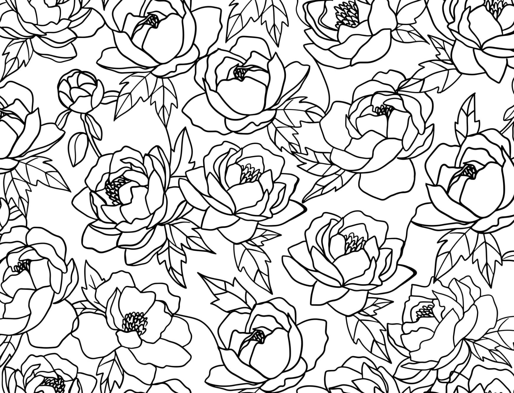 Carta da Parati Fiori Minimal in Bianco e Nero