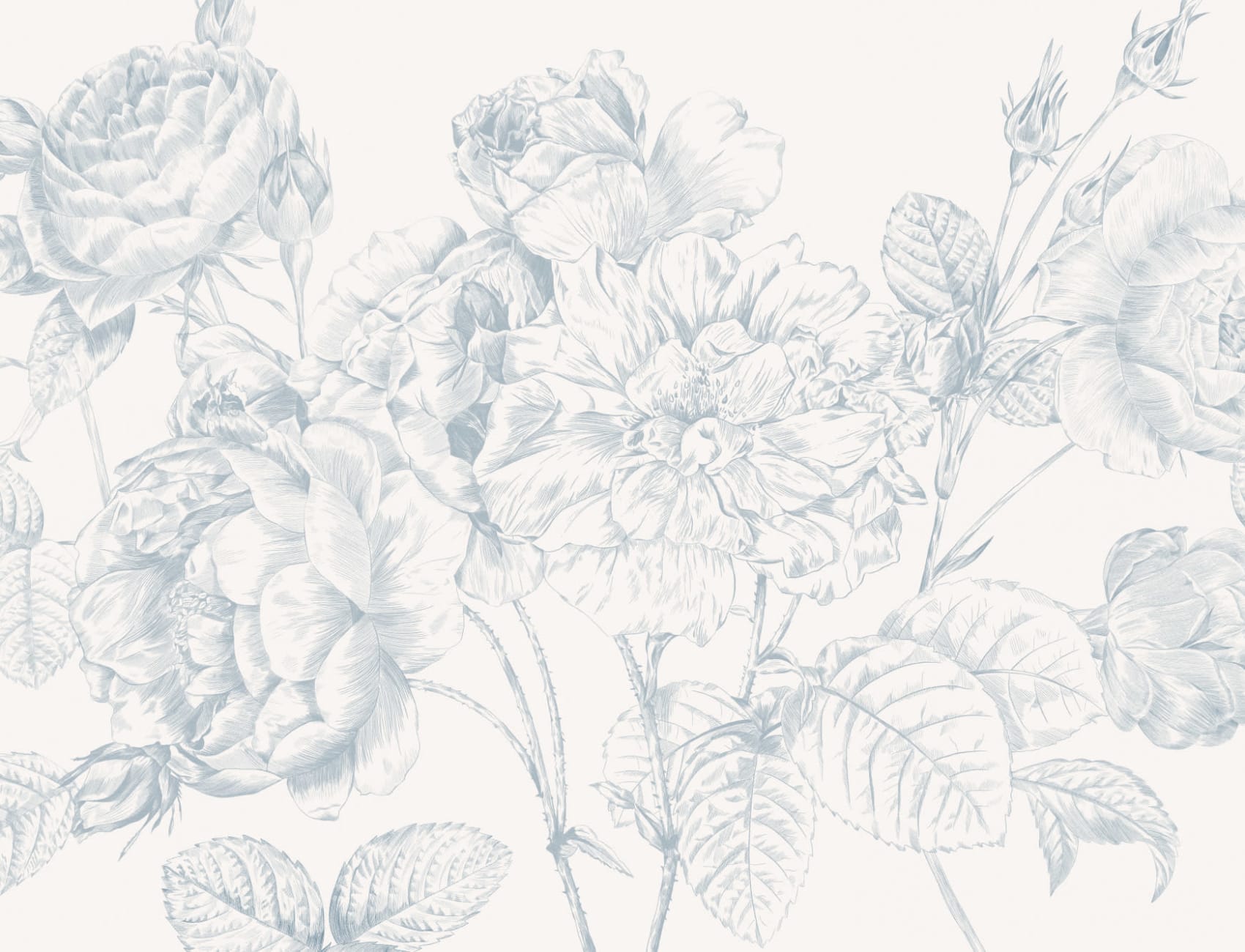 Blue Large Illustrated Roses Wallpaper Mural