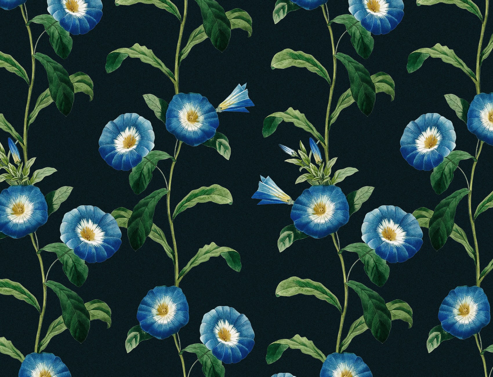 Bladaktig Bright Blue Petunia Floral Bakgrunn