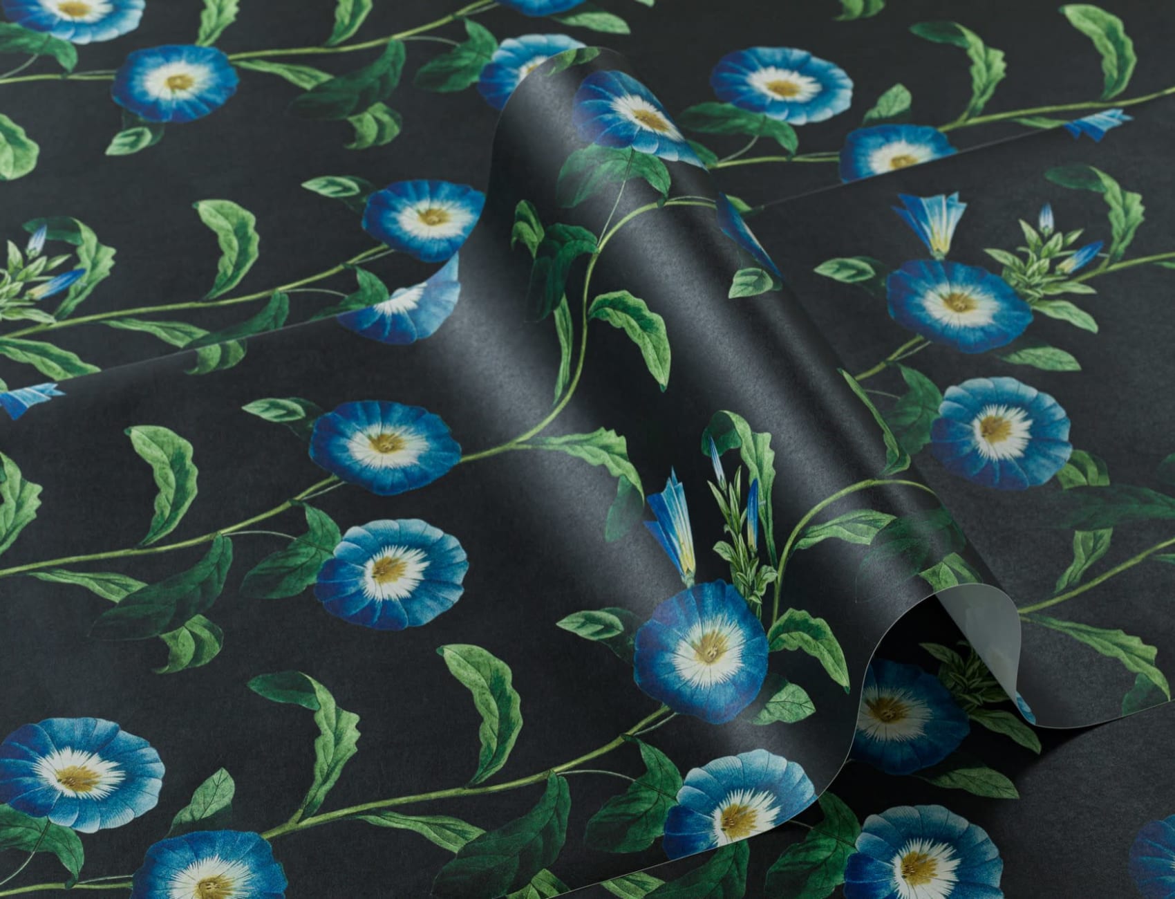 Bladaktig Bright Blue Petunia Floral Bakgrunn