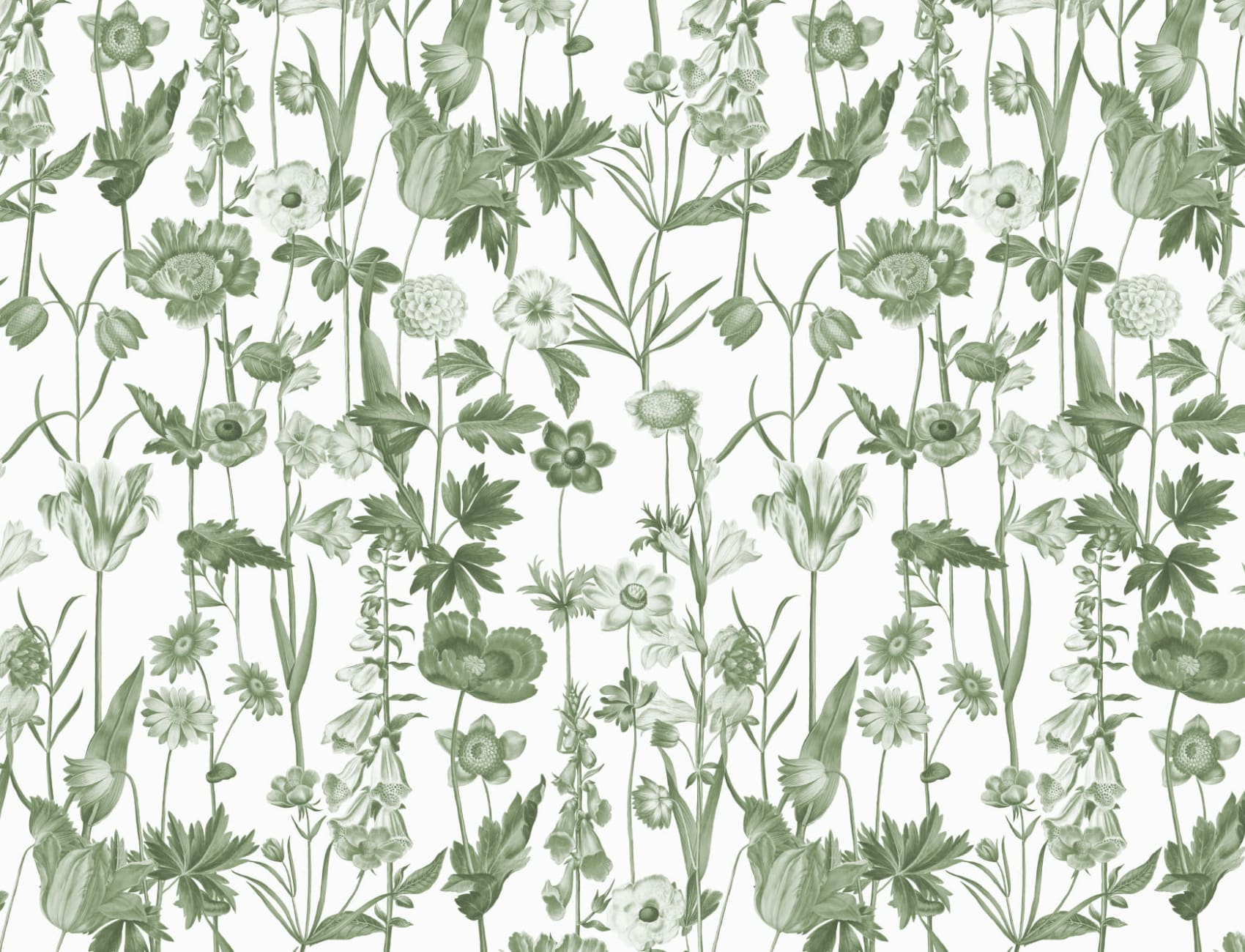 White Illustrated Wildflower Wallpaper
