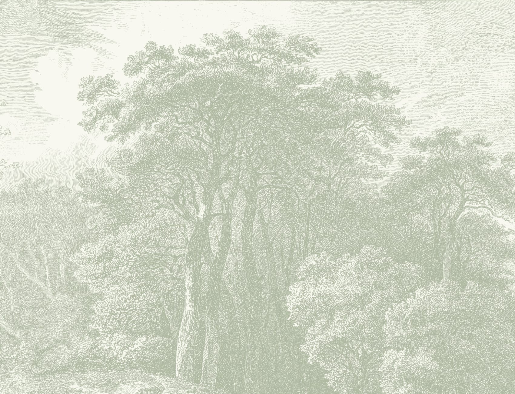 Vintage Forest Etching Wall Mural in Sage Green Tones