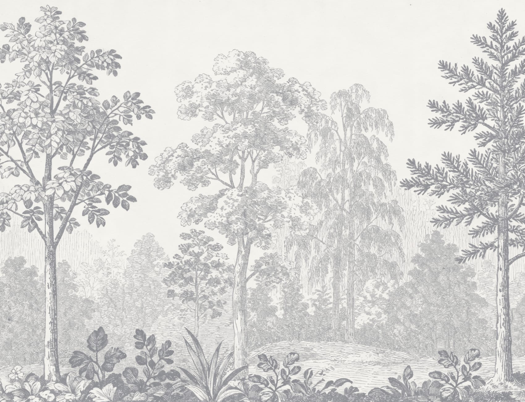 Grey Botanical Woodland Scene Nature Wall Mural
