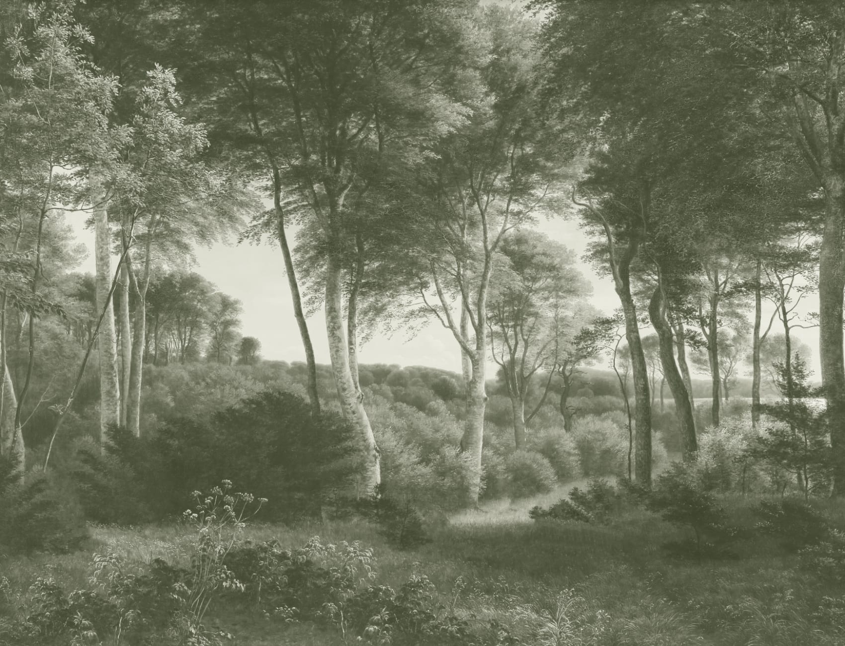 Papier peint panoramique de la forêt verte