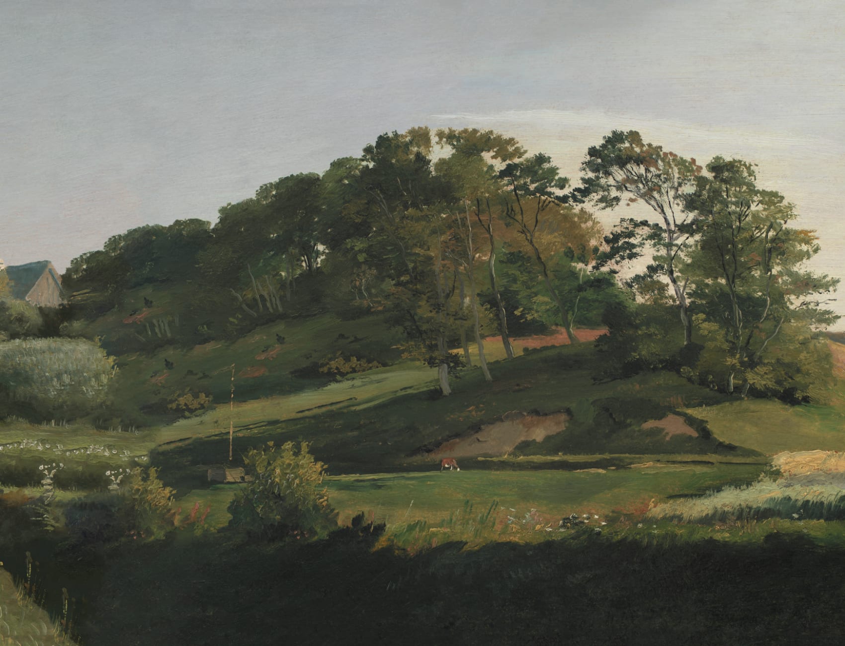 Carta da parati del paesaggio delle colline danesi