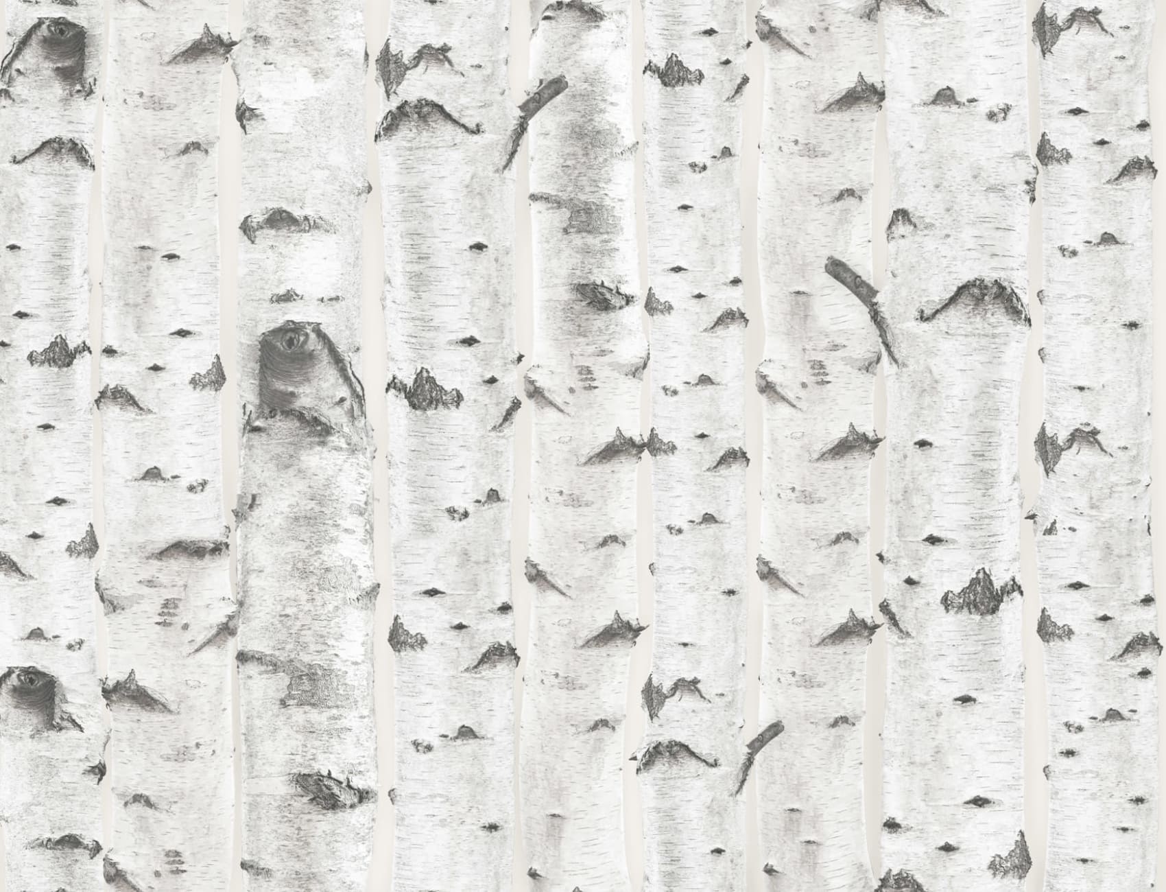 Mural de papel de parede com padrão de árvore de bétula branca e creme