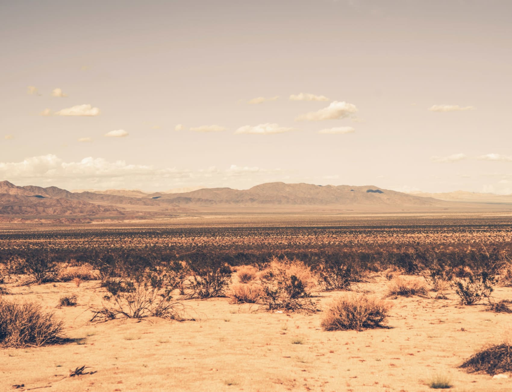 Arid Desert Behang Muurschildering