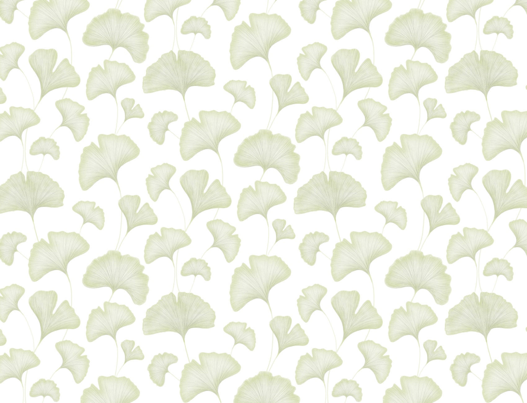 Green Ginkgo Leaves Wallpaper