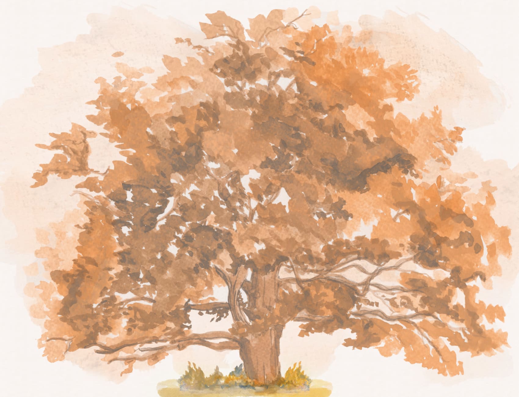 Autumn Oak Tree Wallpaper Mural