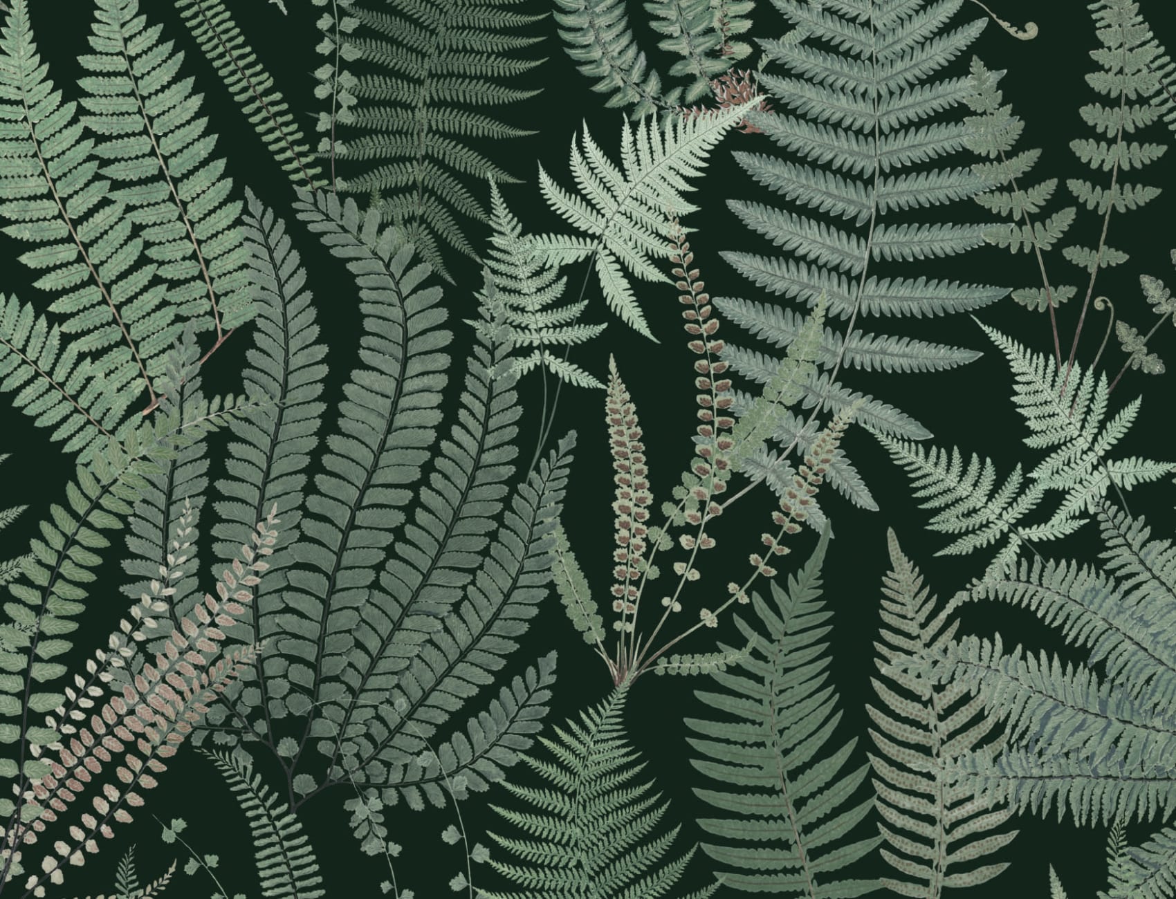 Dark Green Vintage Fern Illustrations Repeat Pattern Wallpaper