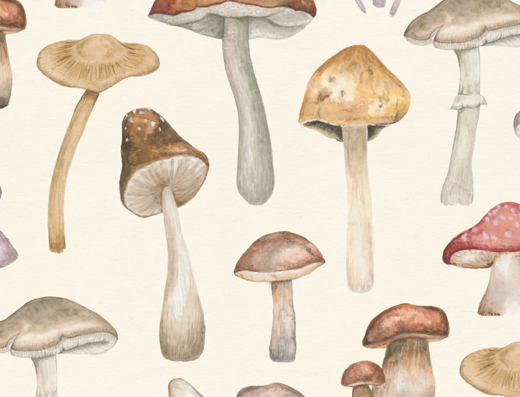 Painted Mushroom Repeat Pattern Wallpaper