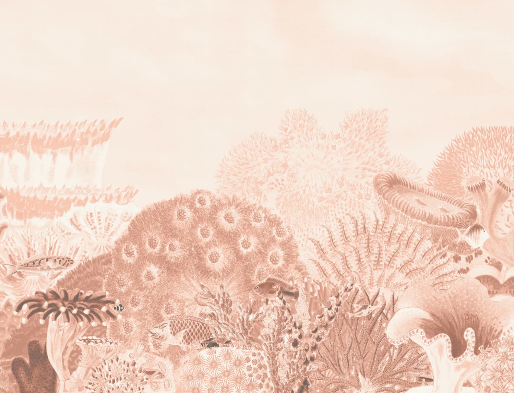 Peach Vintage Illustrasjoner Coral Reef fototapet