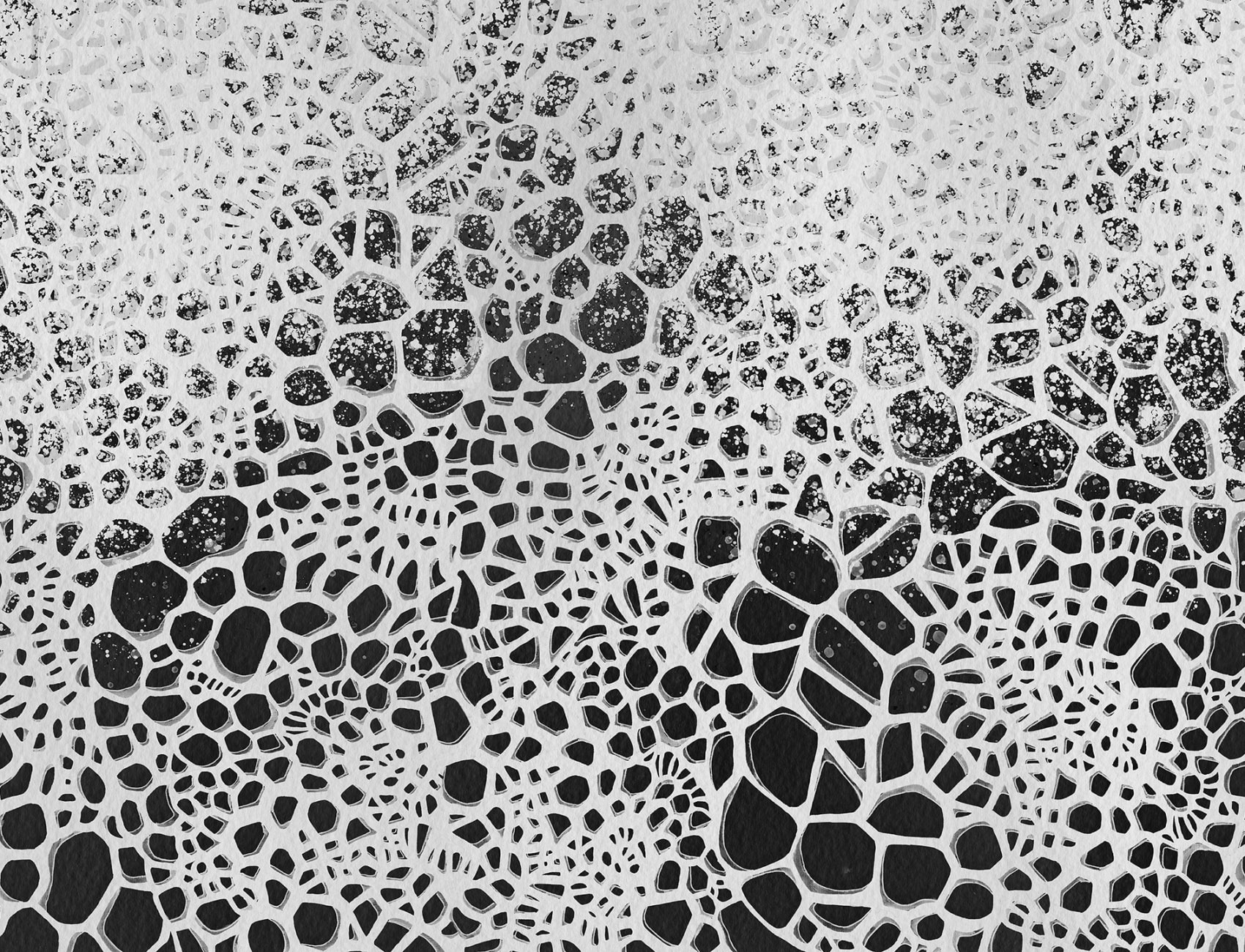 A sheer wall mural with hand-drawn bubbles