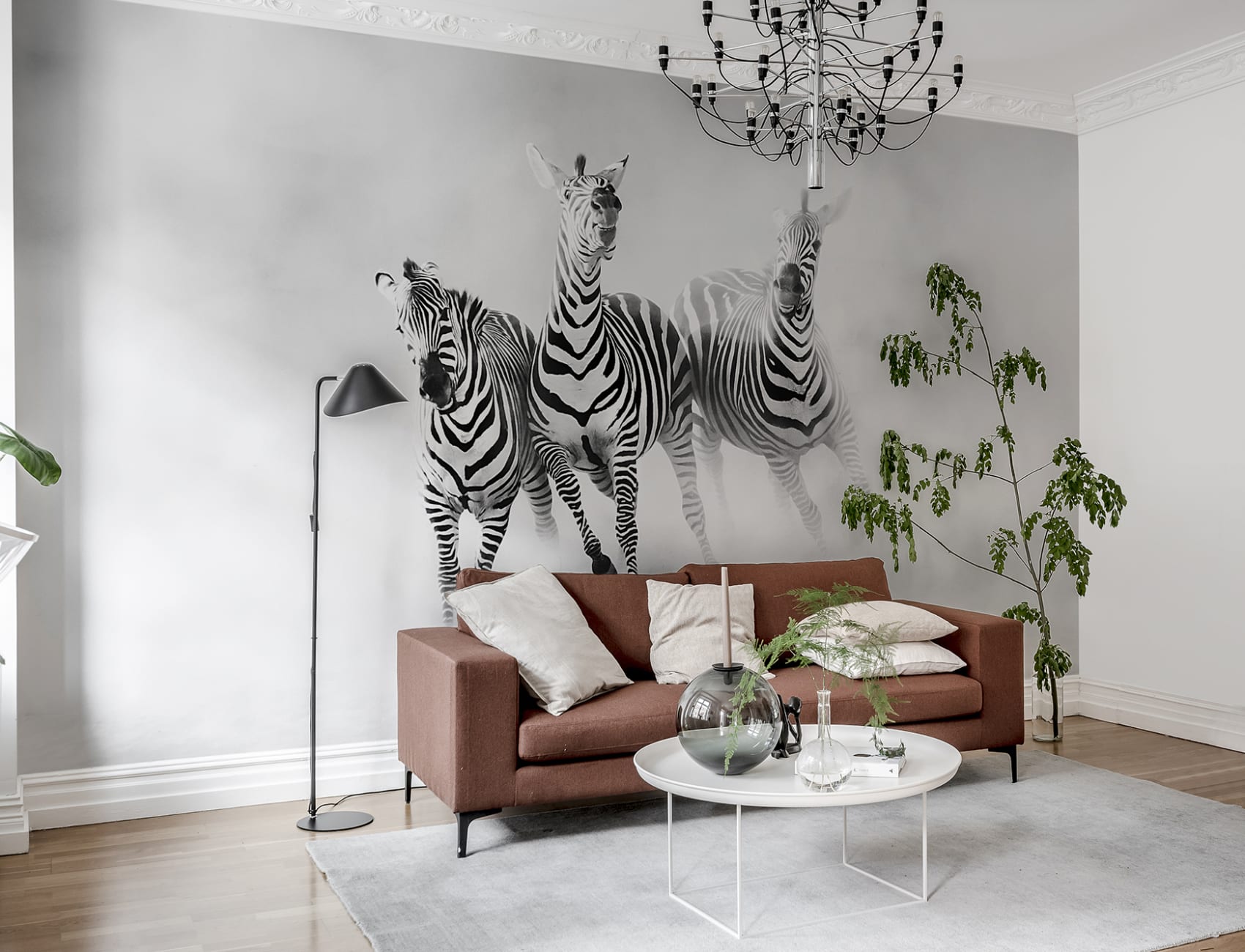 Graphic Zebras