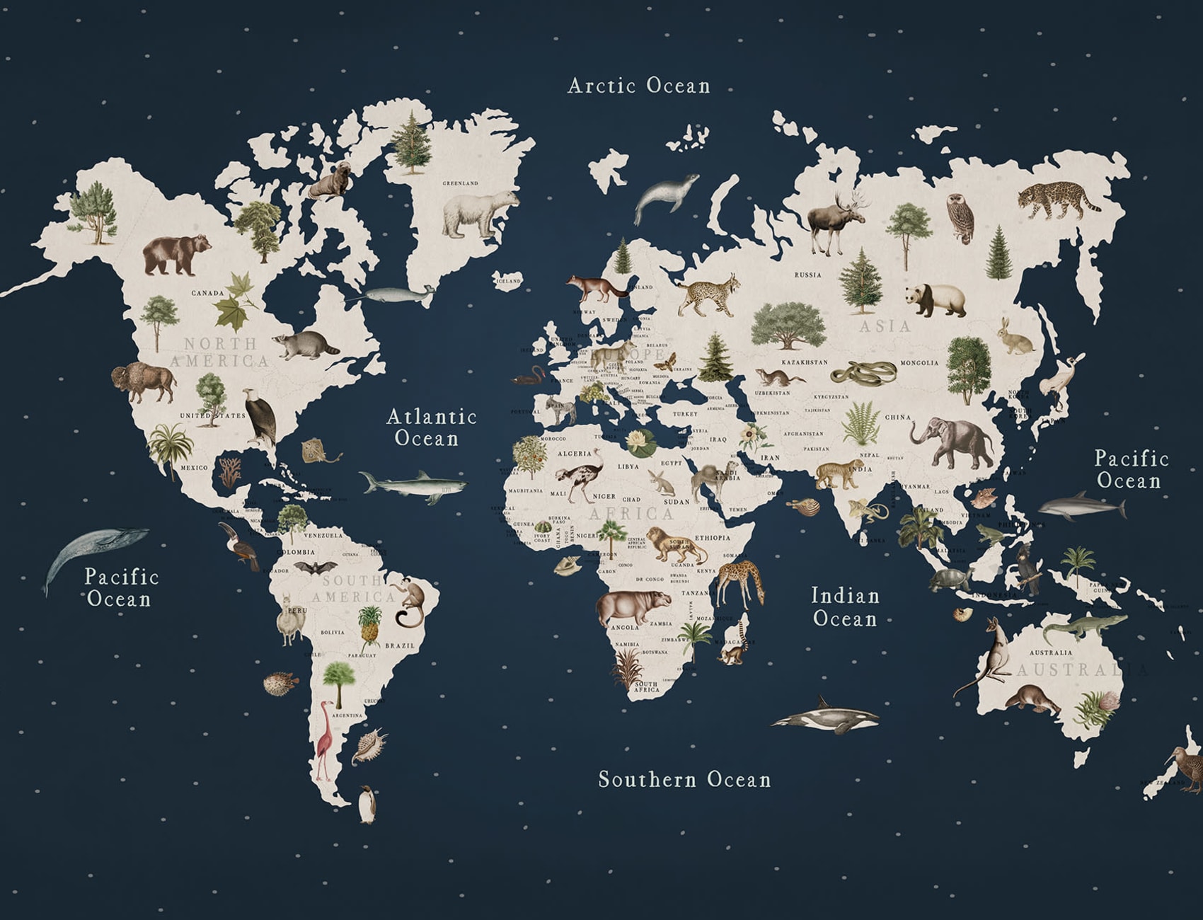 A Global Safari Adventure