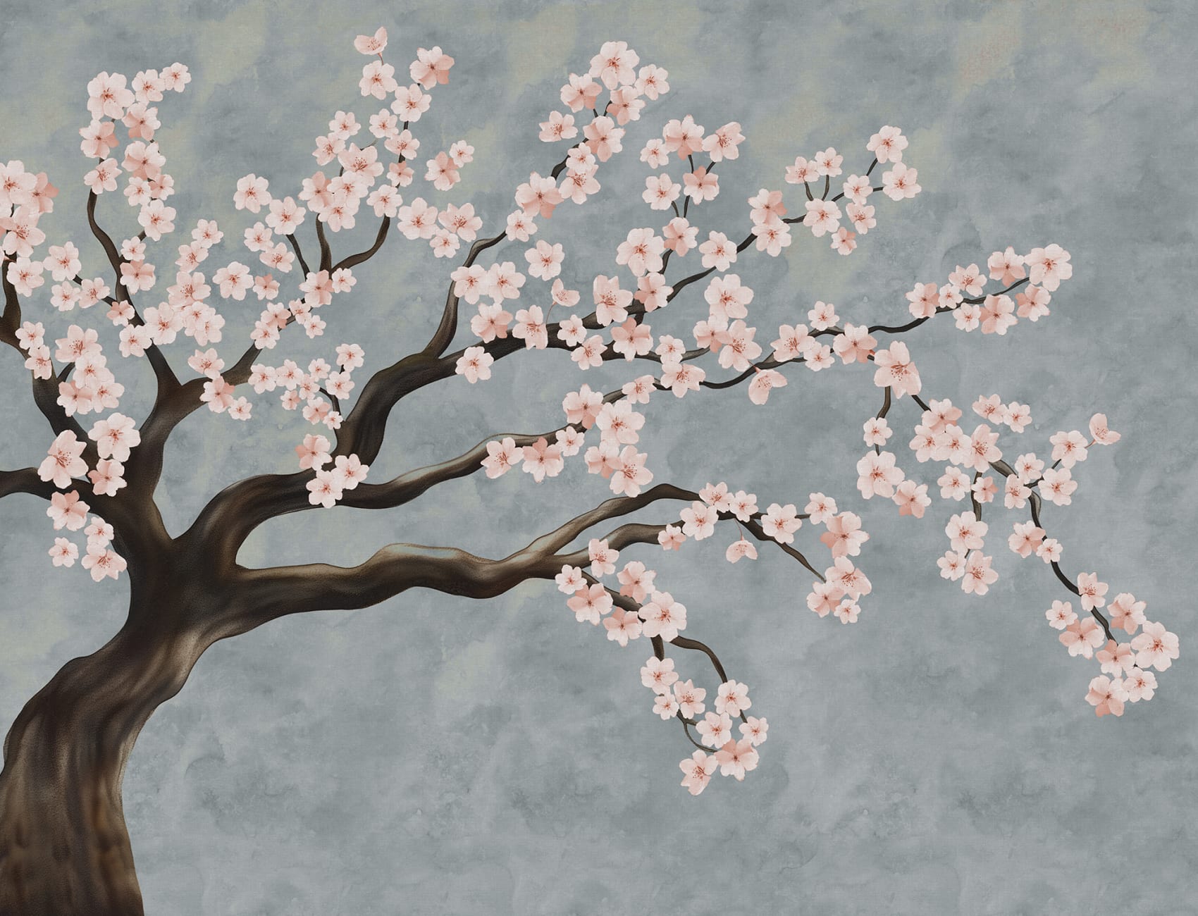 Blossom Serenity