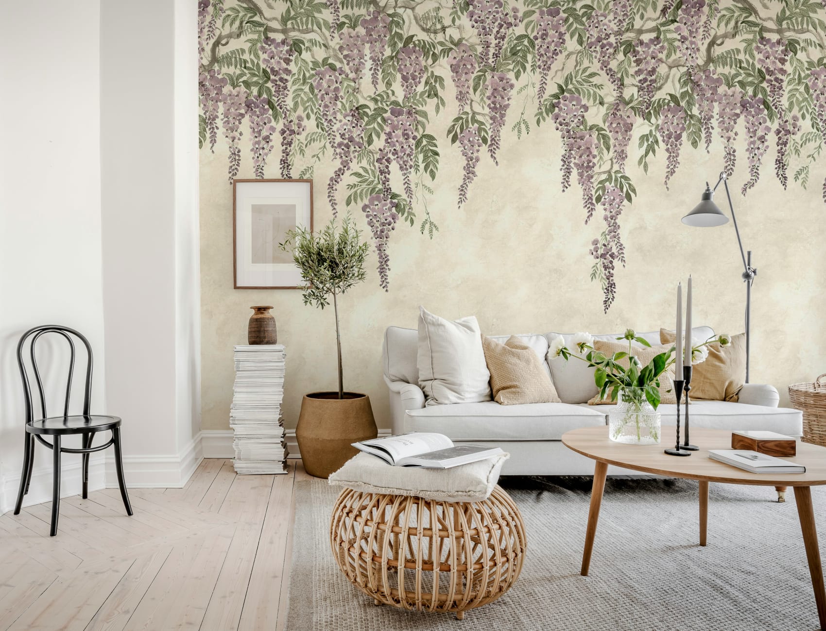 Wisteria Wonder