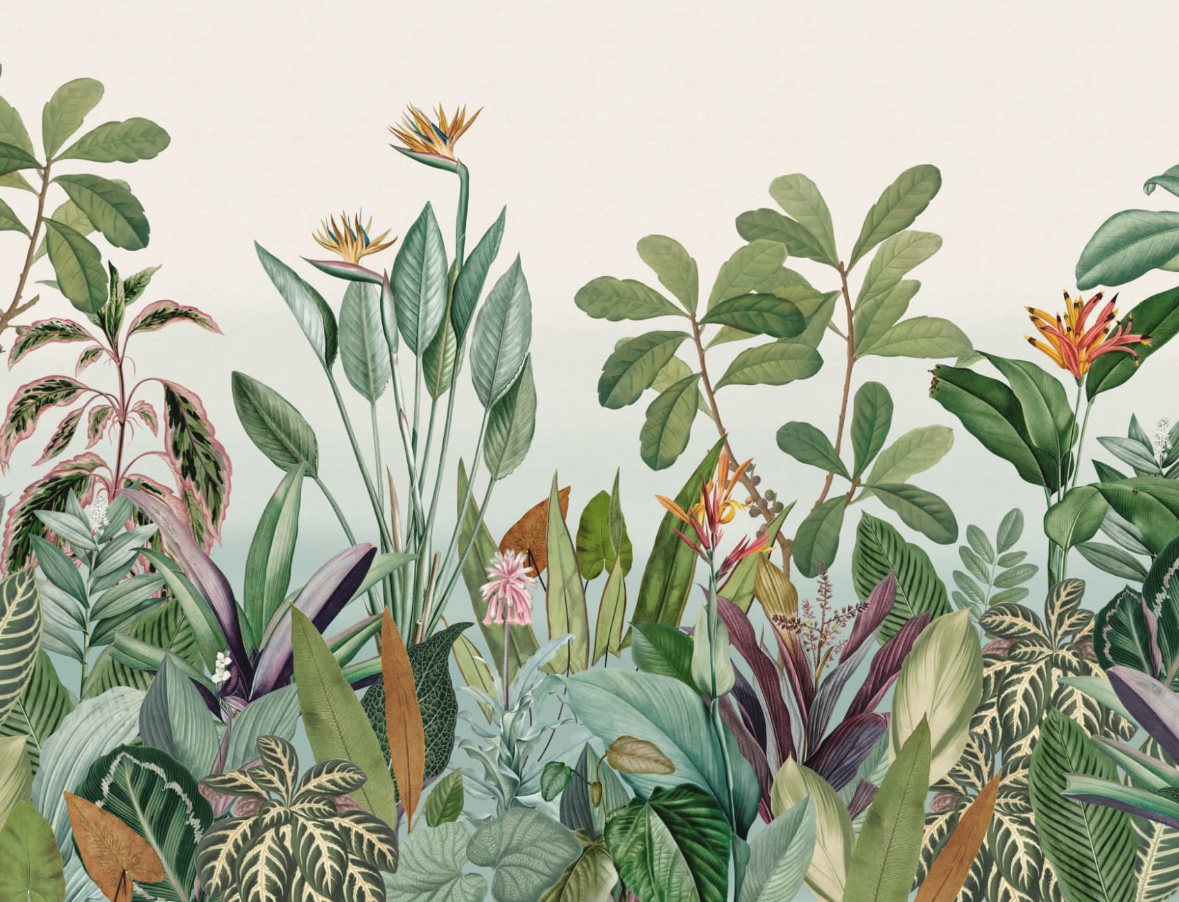 Tropical Plants Jungle Landscape Wallpaper Mural