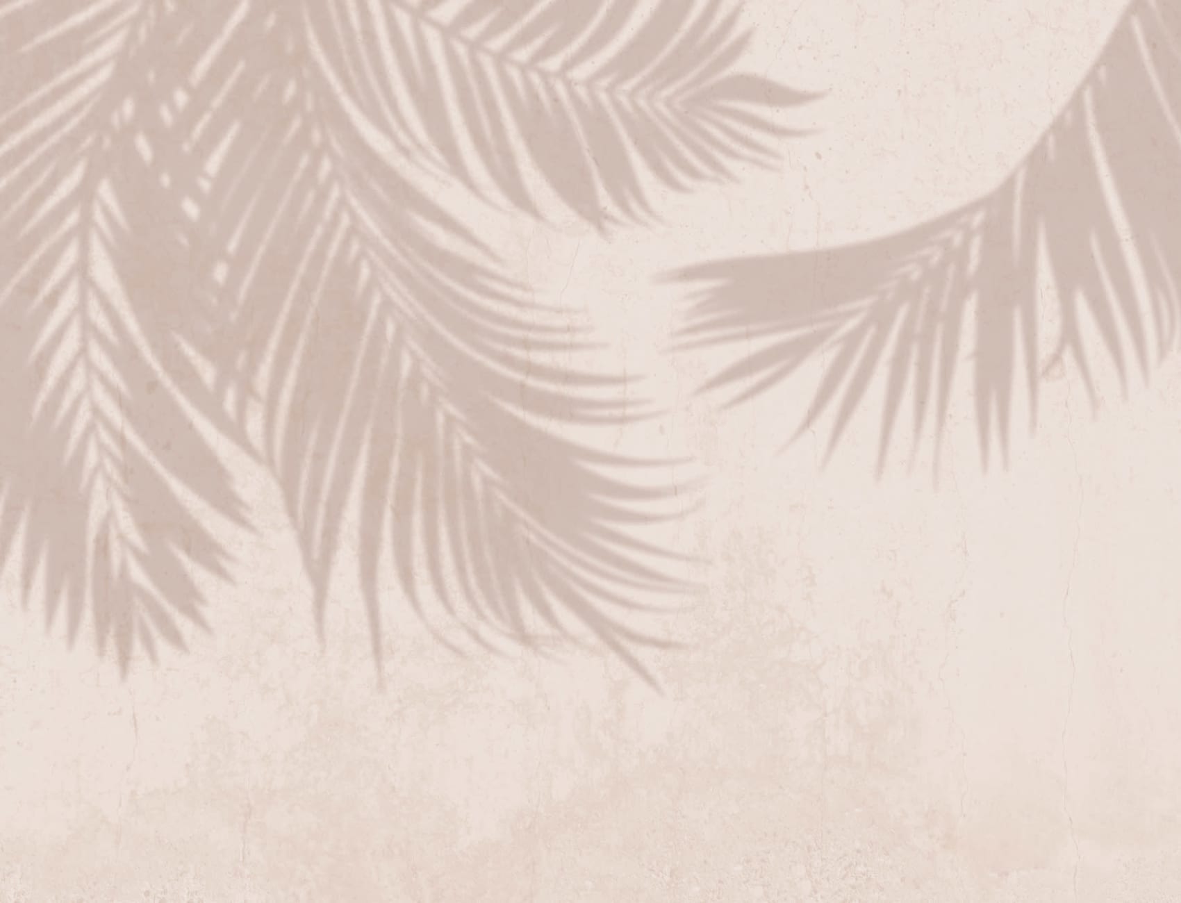 Neutral Palm Leaf Shadow Concrete Effect Wallpaper Mural