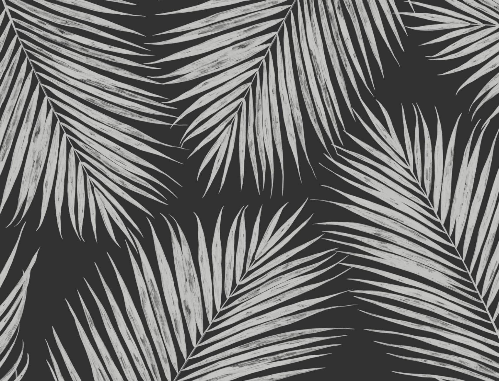 Black and White Illustrated Tropical Palm Leaf Wallpaper Mural