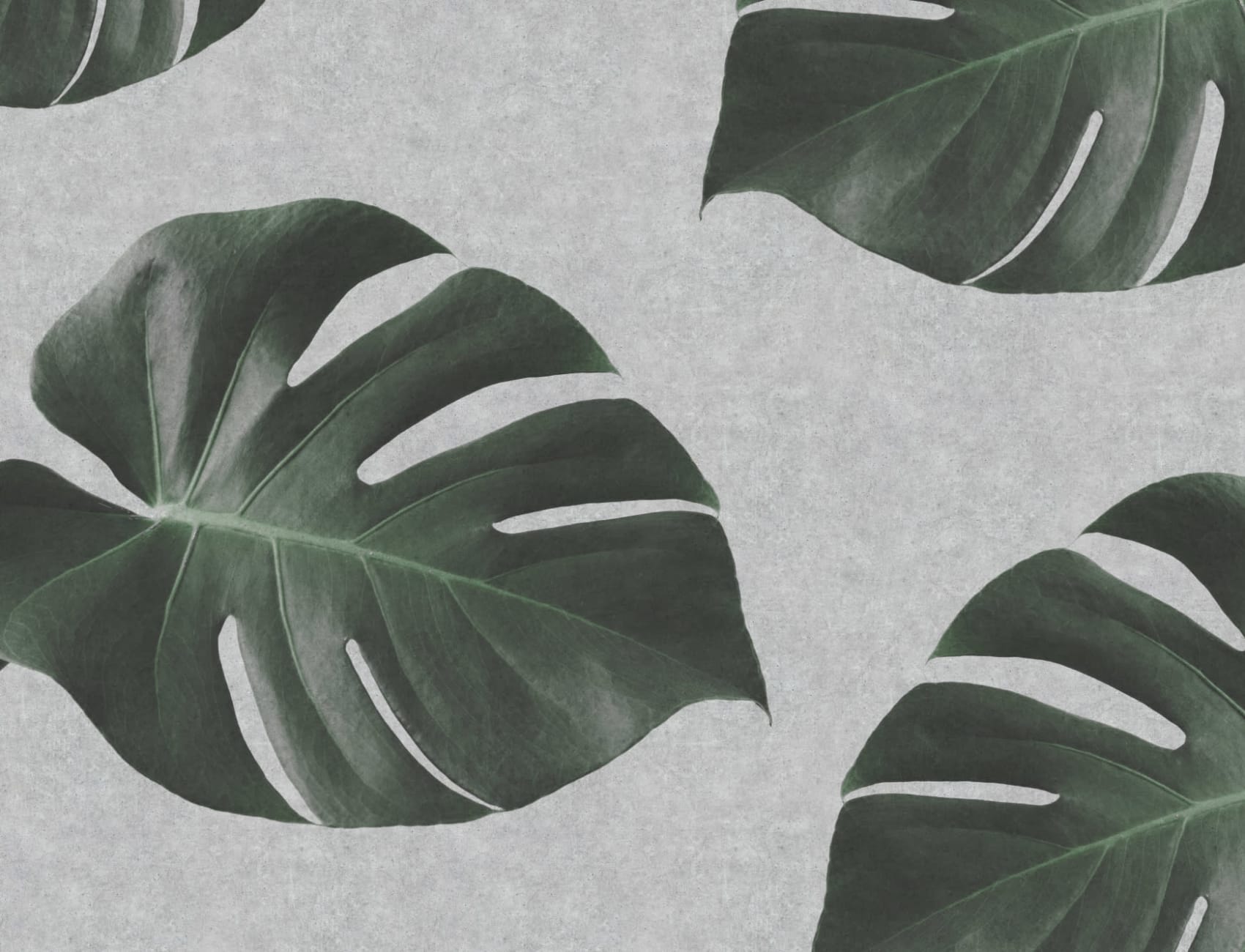 Biophilic Monstera Leaf Industrial Wallpaper Mural