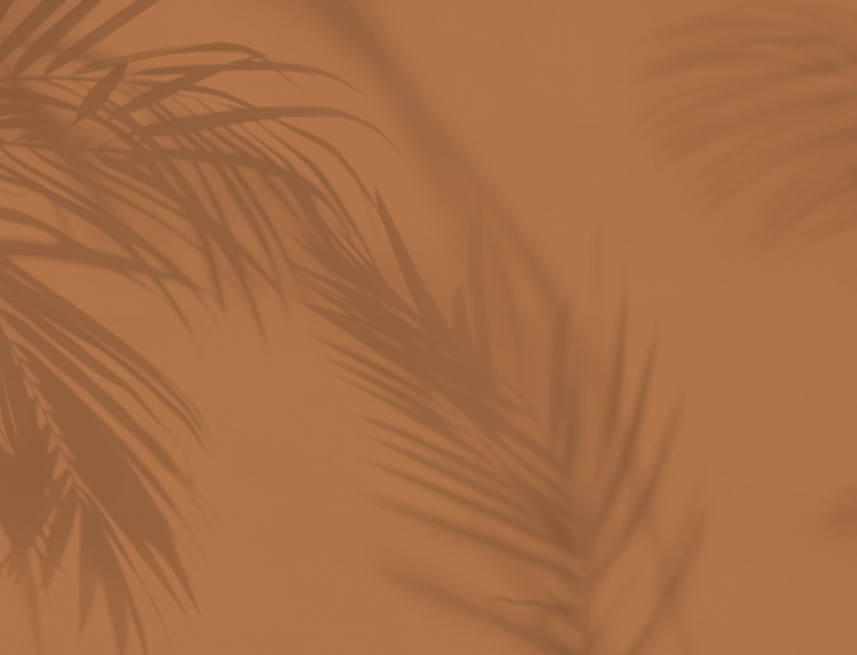 Terracotta Palm Leaf Shadow Mural