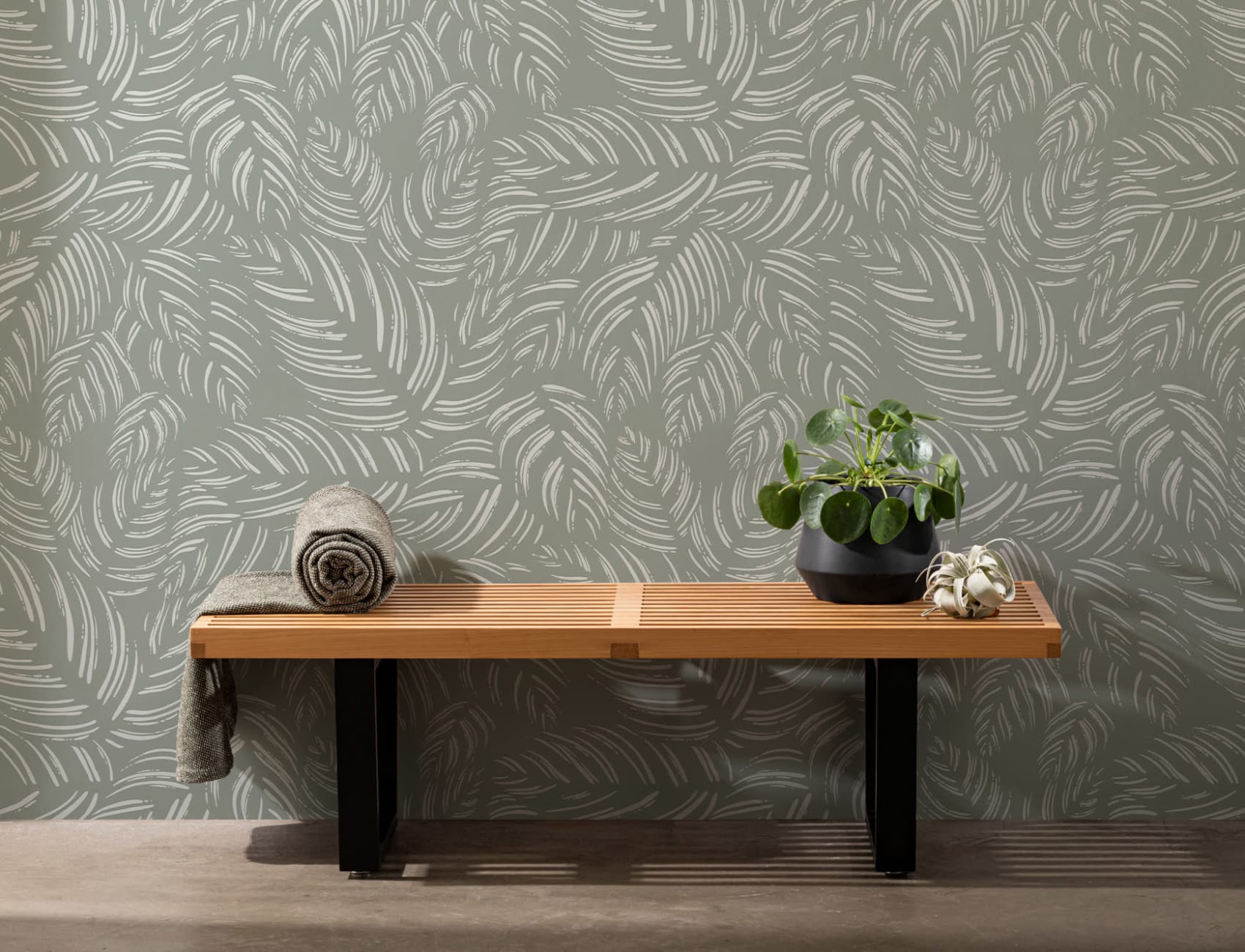 Grønt Calathea bladmønster fototapet