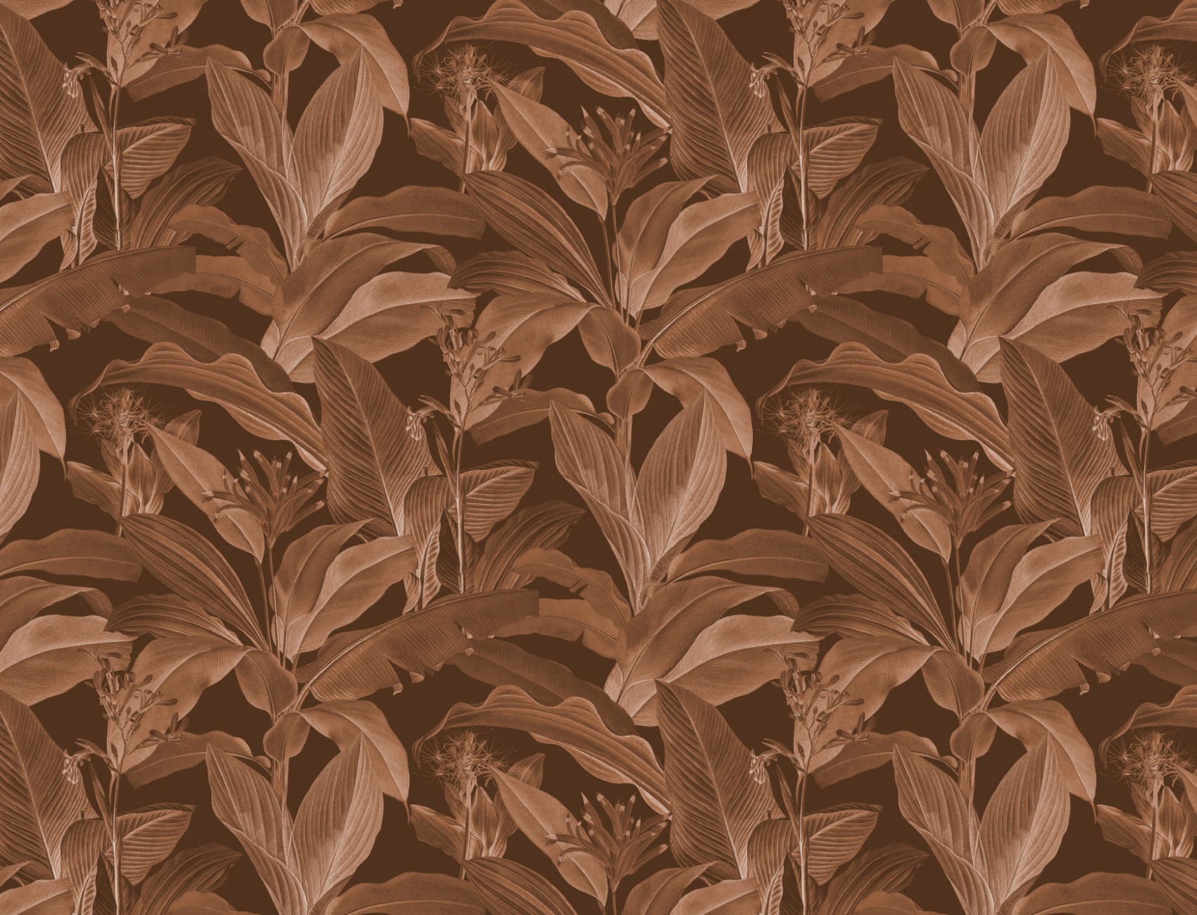 Botanist Papier peint botanique vintage foncé dans des tons bruns riches