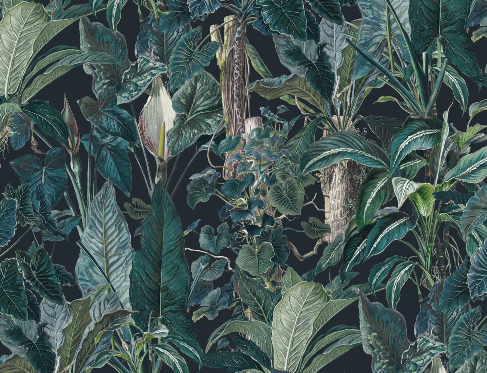 Dark Tropical Illustrated Leafy Plants Mural