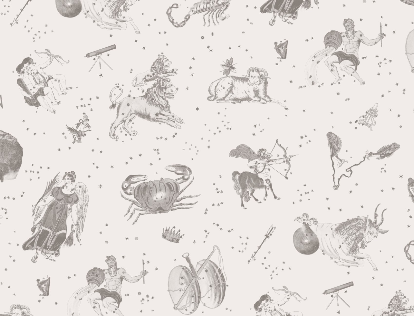 Gray Illustrated Astrological Star Signs Mural