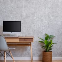 Image Gray