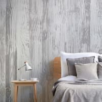 Image Scandinav