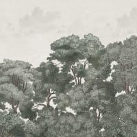 Image Nature