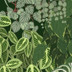 Botanisch
