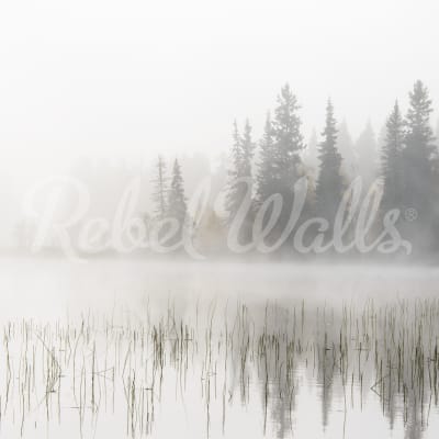 Frosty Lake pattern image