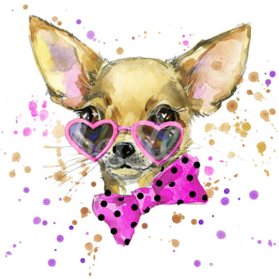Chihuahua pattern image