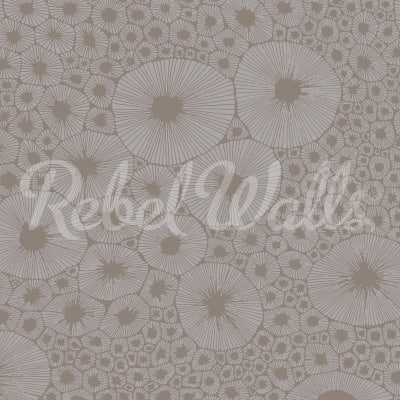 Bold Coral, Gray pattern image
