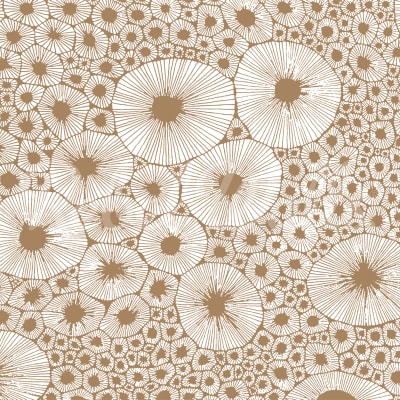 Bold Coral, Brown pattern image
