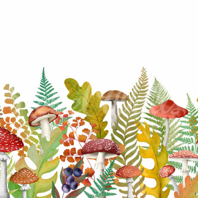 Autumn Meadow, Rainbow pattern image