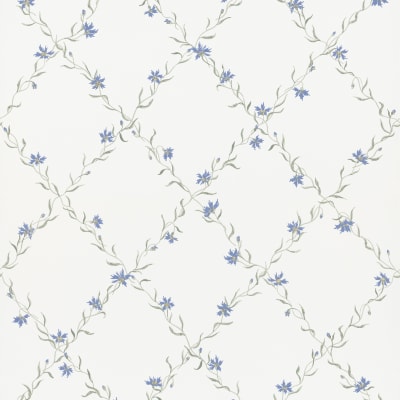 Ewa blue pattern image